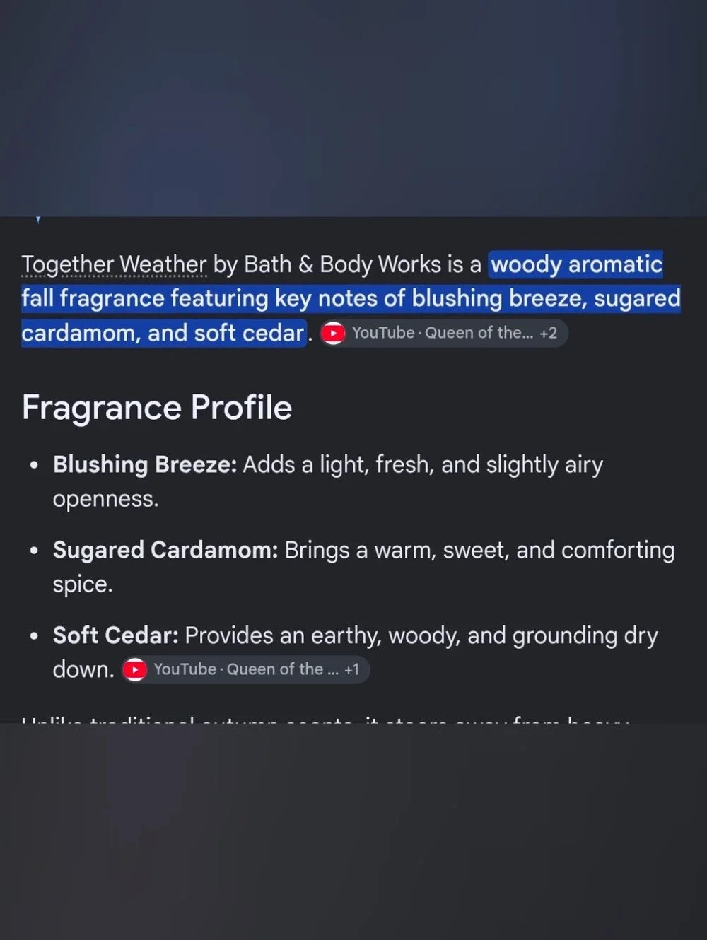 Bath & Body Works Together Weather Shower Gel